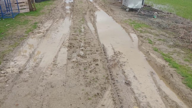 Marmaraereğlisi / Türkmenli Mahallesi’nde Vatandaş Perişan! 
