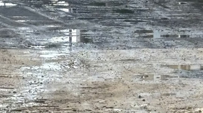 MHP’li Kaya’dan Sert Çıkış: “Yol Sorunu İlçenin Kanayan Yarası Haline Geldi”