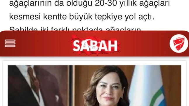 CHP’li belediyenin ağaç katliamına tepki