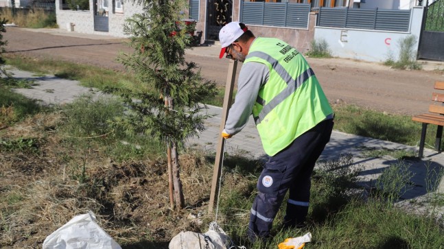 Marmaraereğlisi’nde Parklar Yenileniyor, Yeşil Alanlar Güzelleşiyor