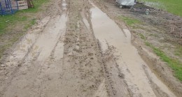 Marmaraereğlisi / Türkmenli Mahallesi’nde Vatandaş Perişan! 