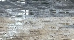 MHP’li Kaya’dan Sert Çıkış: “Yol Sorunu İlçenin Kanayan Yarası Haline Geldi”