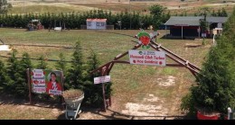 ERGENE’DE GÖRSEL ŞÖLEN BAŞLADI: LAVANTA VE ÇİLEK TARLALARI KAPILARINI AÇTI!