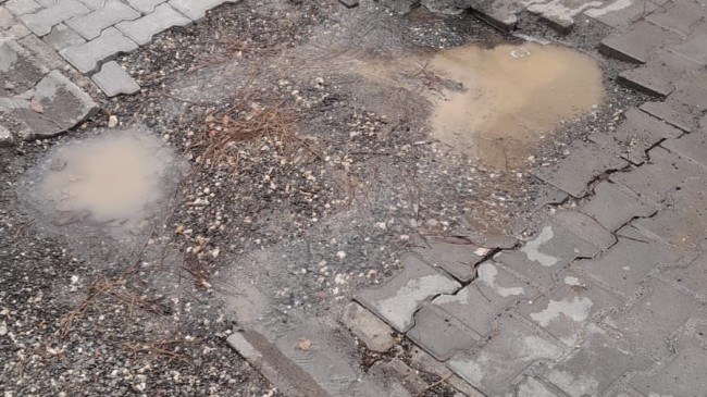 Marmaraereğlisi Belediyesi’ne Çağrı!