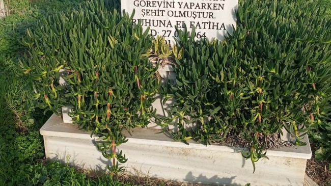 Şehit Mezarıyla Alakalı Yanlış Anlaşılma… 