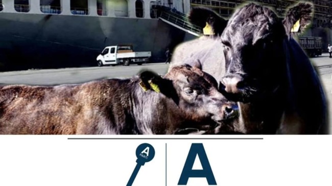 Anahtar Parti Marmaraereğlisi ilçe Başkanlığı, Marmaraereğlisi’nde Yapılması Planlanan ‘Angus Çiftliğiyle’ Alakalı Basın ve Kamuoyu Açıklamasında Bulundu!