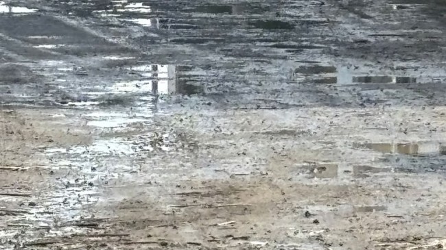 MHP’li Kaya’dan Sert Çıkış: “Yol Sorunu İlçenin Kanayan Yarası Haline Geldi”